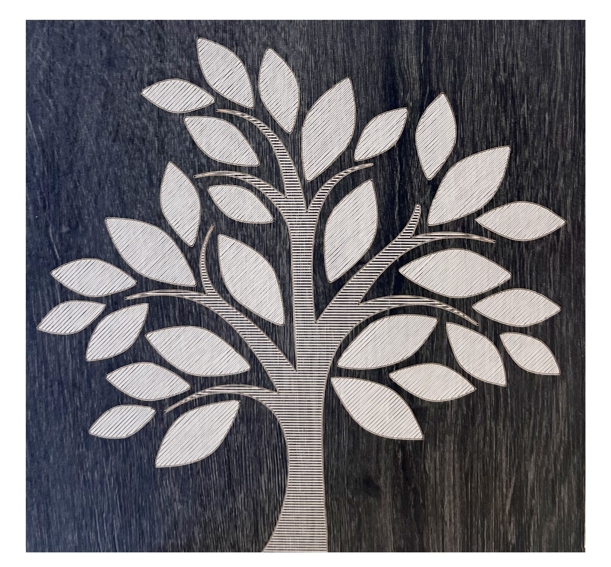 /media/2026/02/albero della vita.jpg